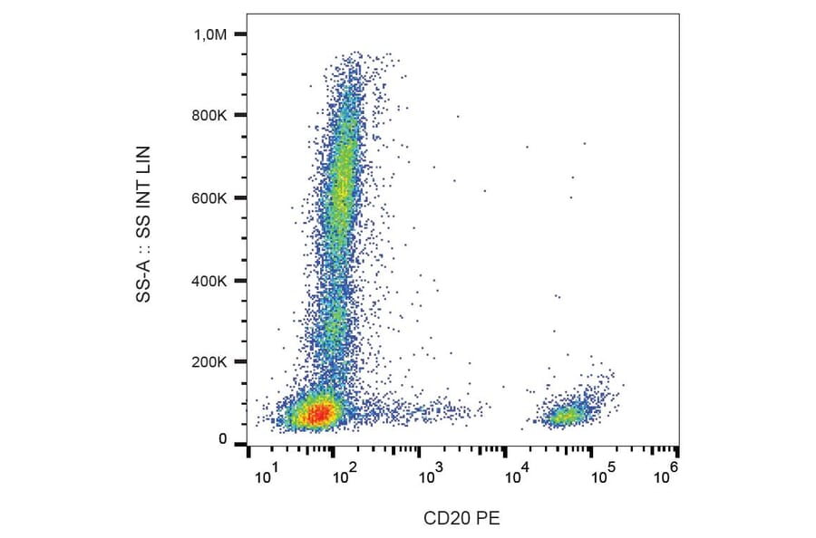 Flow Cytometry - Anti-CD20 Antibody [2H7] (PE) (A85691) - Antibodies.com