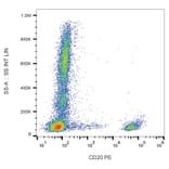 Flow Cytometry - Anti-CD20 Antibody [2H7] (PE) (A85691) - Antibodies.com