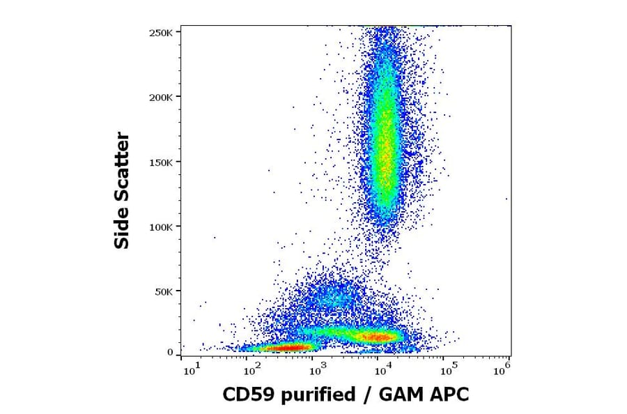Flow Cytometry - Anti-CD59 Antibody [MEM-43/5] (A85695)