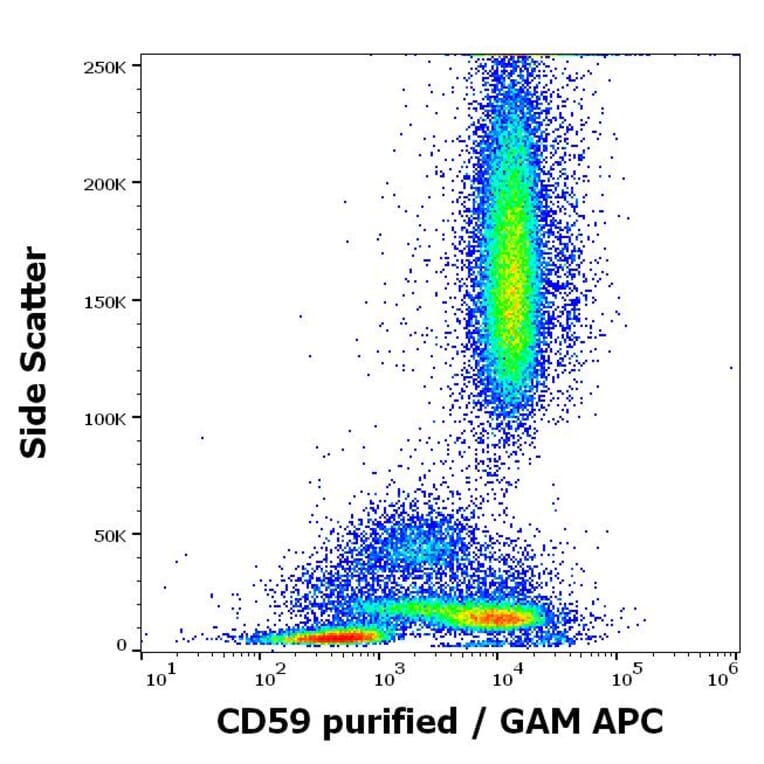Flow Cytometry - Anti-CD59 Antibody [MEM-43/5] (A85695)