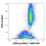 Flow Cytometry - Anti-CD59 Antibody [MEM-43/5] (A85695)