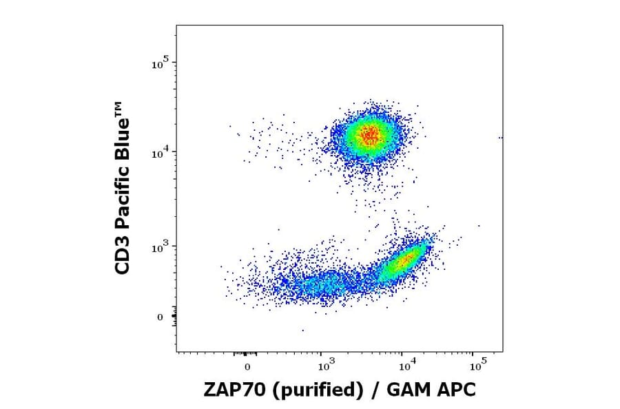 Flow Cytometry - Anti-ZAP70 Antibody [ZAP-03] (A85696)