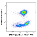 Flow Cytometry - Anti-ZAP70 Antibody [ZAP-03] (A85696)