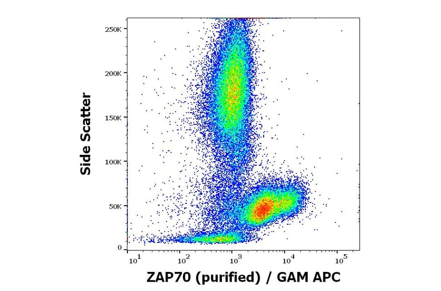 Flow Cytometry - Anti-ZAP70 Antibody [ZAP-03] (A85696)