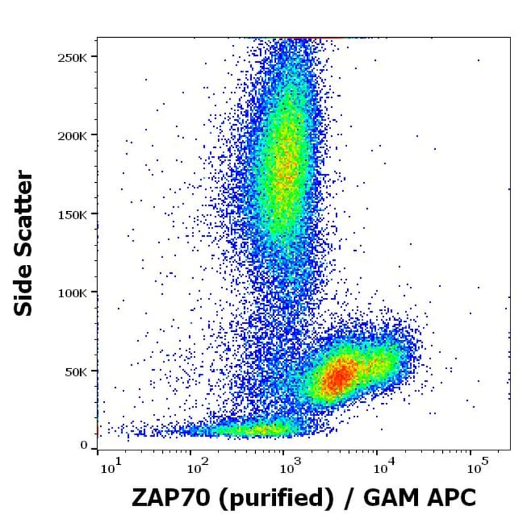 Flow Cytometry - Anti-ZAP70 Antibody [ZAP-03] (A85696)