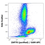 Flow Cytometry - Anti-ZAP70 Antibody [ZAP-03] (A85696)