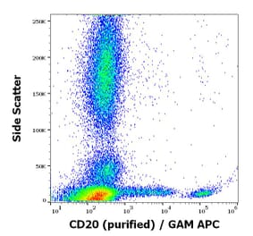 Flow Cytometry - Anti-CD20 Antibody [2H7] (A85697)