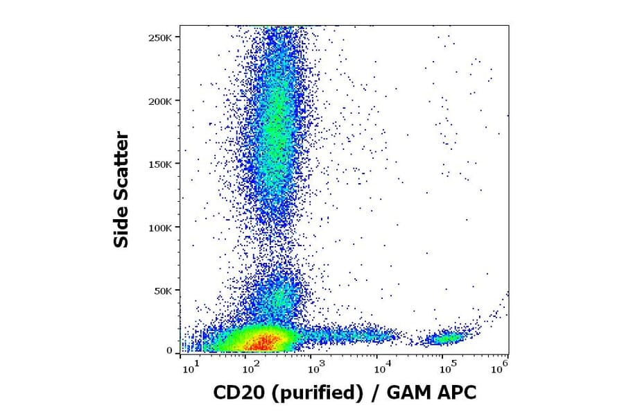 Flow Cytometry - Anti-CD20 Antibody [2H7] (A85697)