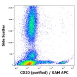 Flow Cytometry - Anti-CD20 Antibody [2H7] (A85697)