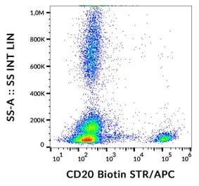 Flow Cytometry - Anti-CD20 Antibody [2H7] (Biotin) (A85698)