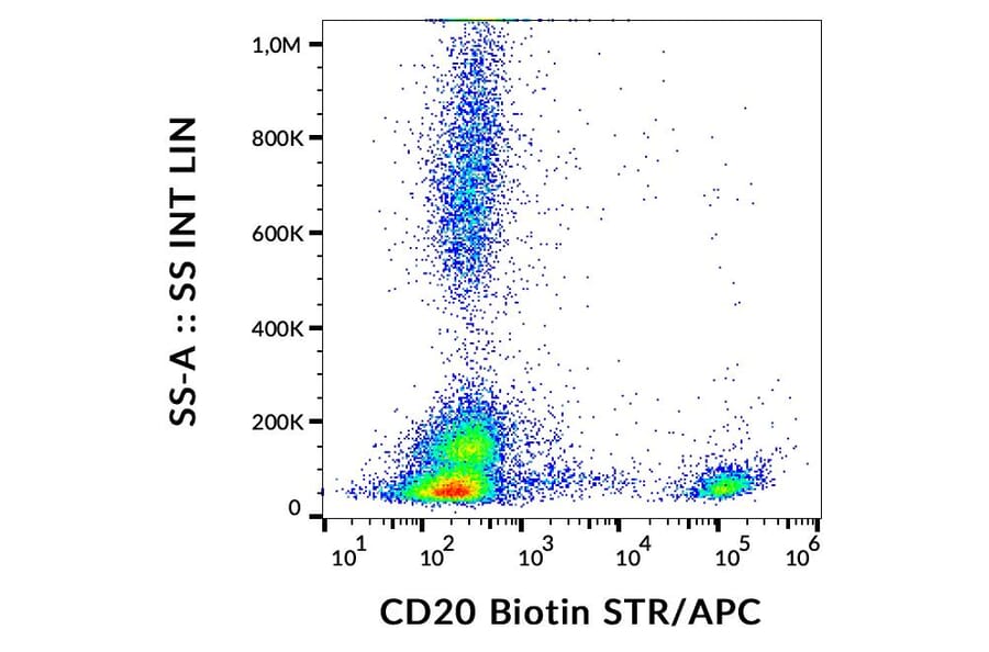 Flow Cytometry - Anti-CD20 Antibody [2H7] (Biotin) (A85698)