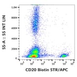Flow Cytometry - Anti-CD20 Antibody [2H7] (Biotin) (A85698)