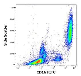 Flow Cytometry - Anti-CD16 Antibody [3G8] (FITC) (A85700)