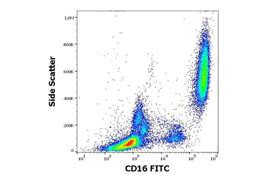Flow Cytometry - Anti-CD16 Antibody [3G8] (FITC) (A85700)