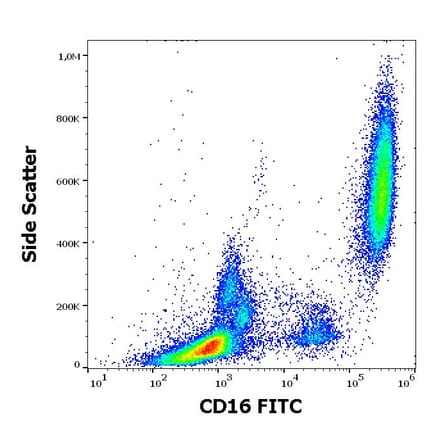 Flow Cytometry - Anti-CD16 Antibody [3G8] (FITC) (A85700)