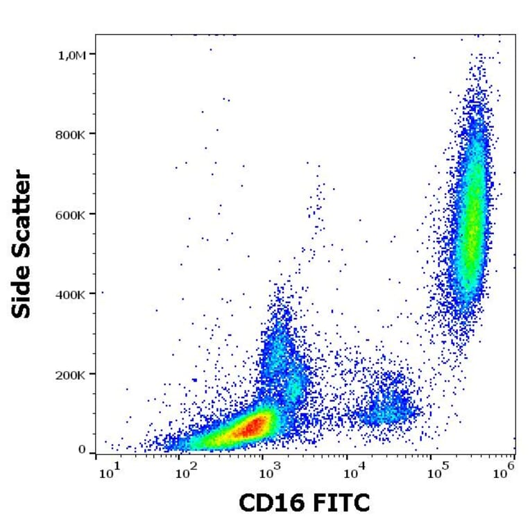 Flow Cytometry - Anti-CD16 Antibody [3G8] (FITC) (A85700)