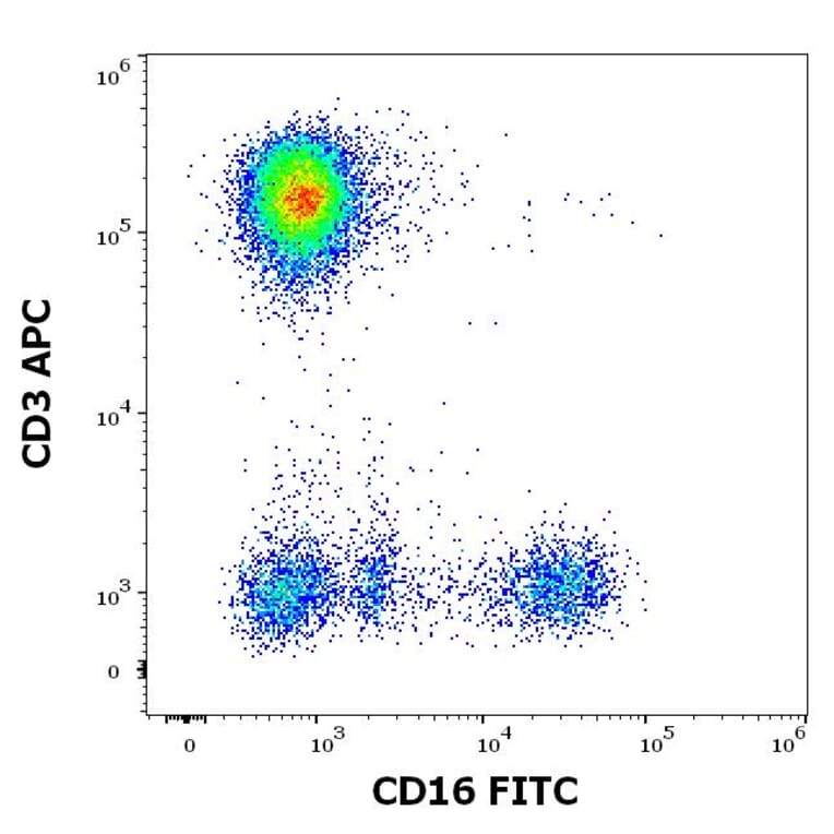 Flow Cytometry - Anti-CD16 Antibody [3G8] (FITC) (A85700)