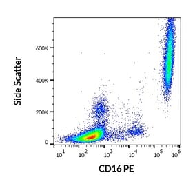 Flow Cytometry - Anti-CD16 Antibody [3G8] (PE) (A85701)