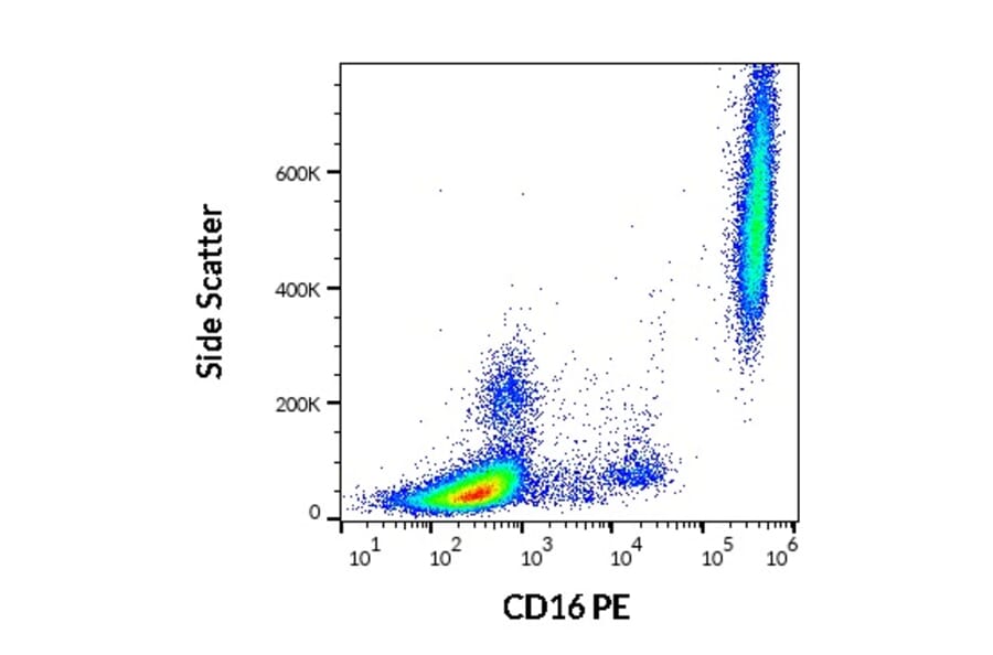 Flow Cytometry - Anti-CD16 Antibody [3G8] (PE) (A85701)