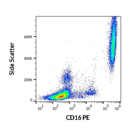 Flow Cytometry - Anti-CD16 Antibody [3G8] (PE) (A85701)