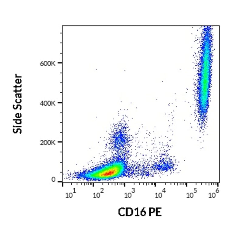 Flow Cytometry - Anti-CD16 Antibody [3G8] (PE) (A85701)