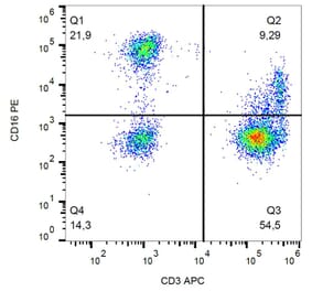 Flow Cytometry - Anti-CD16 Antibody [3G8] (PE) (A85696) - Antibodies.com