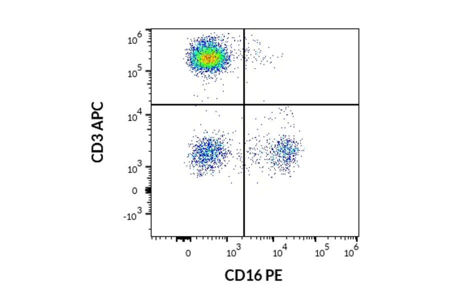 Flow Cytometry - Anti-CD16 Antibody [3G8] (PE) (A85701)