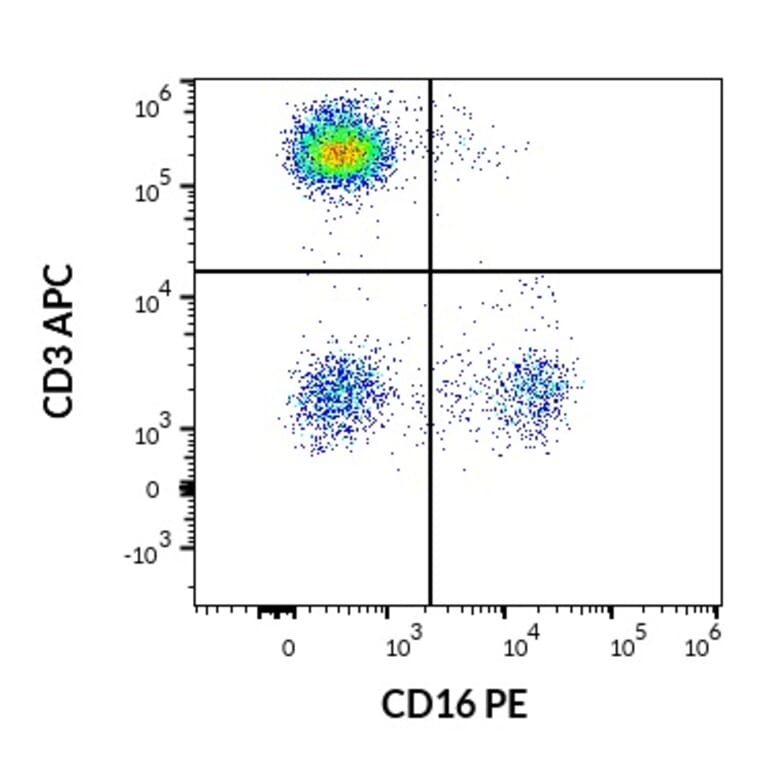 Flow Cytometry - Anti-CD16 Antibody [3G8] (PE) (A85701)