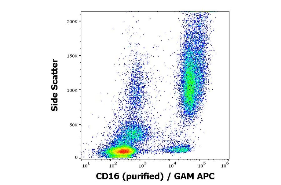 Flow Cytometry - Anti-CD16 Antibody [3G8] (A85703)