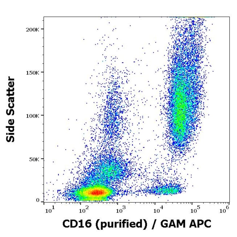 Flow Cytometry - Anti-CD16 Antibody [3G8] (A85703)