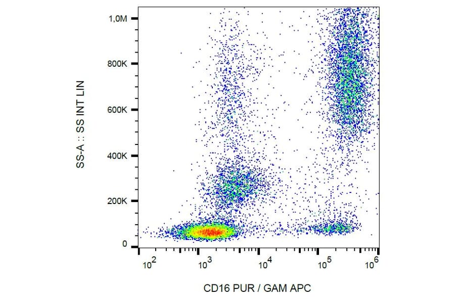Flow Cytometry - Anti-CD16 Antibody [3G8] (A85702) - Antibodies.com