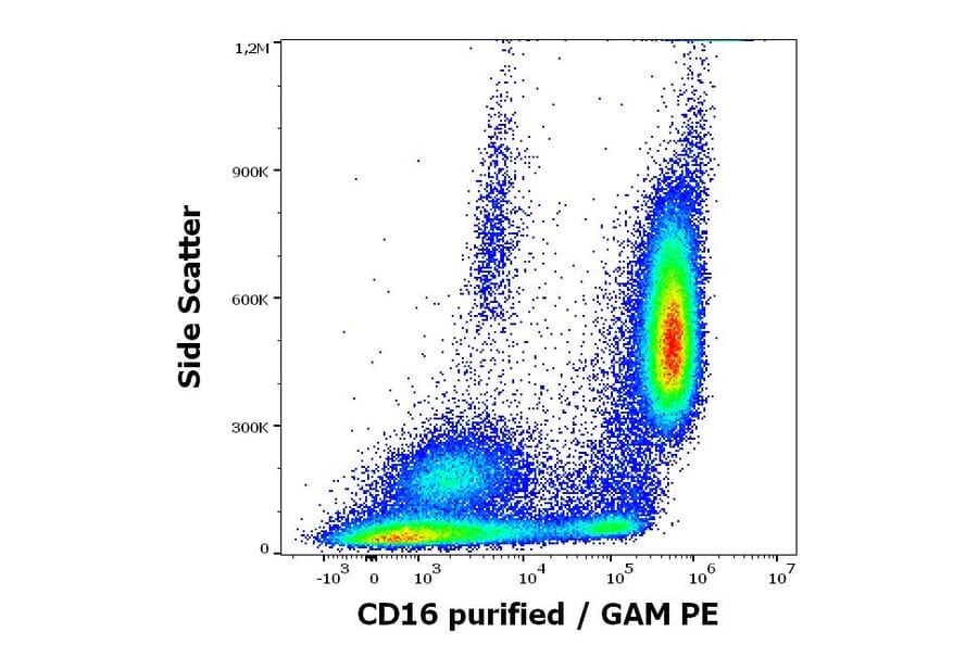 Flow Cytometry - Anti-CD16 Antibody [3G8] (A85703)