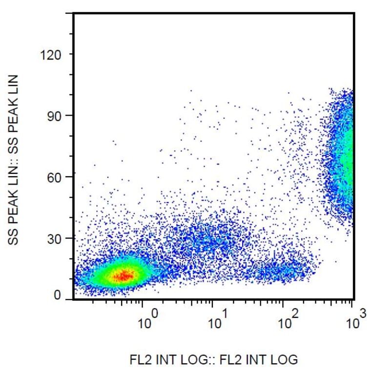 Flow Cytometry - Anti-CD16 Antibody [3G8] (Biotin) (A85704)