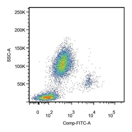 Flow Cytometry - Anti-CD14 Antibody [MEM-18] (FITC) (A85708)