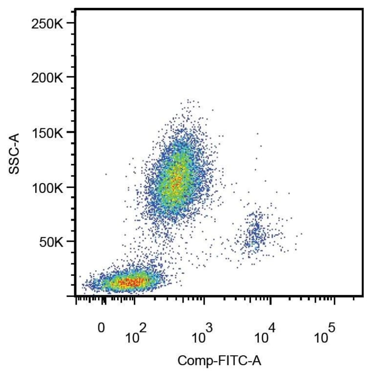 Flow Cytometry - Anti-CD14 Antibody [MEM-18] (FITC) (A85708)