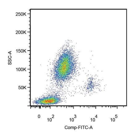 Flow Cytometry - Anti-CD14 Antibody [MEM-18] (FITC) (A85707) - Antibodies.com