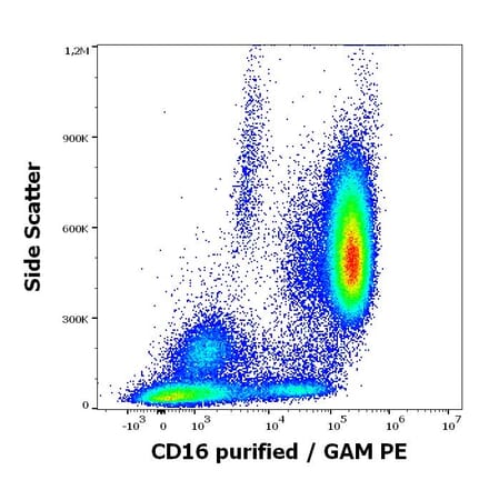 Flow Cytometry - Anti-CD16 Antibody [MEM-168] (A85712)
