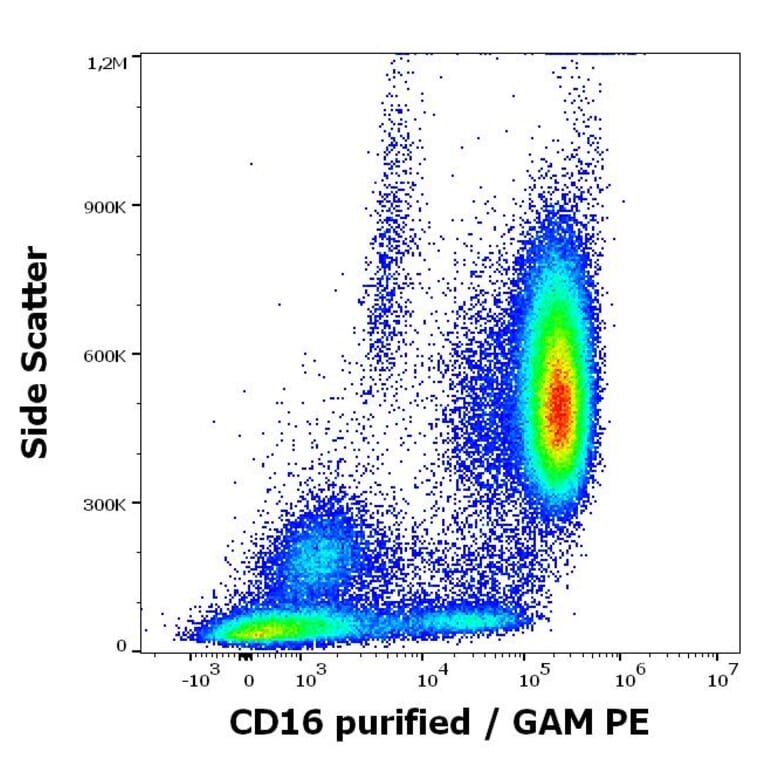 Flow Cytometry - Anti-CD16 Antibody [MEM-168] (A85712)