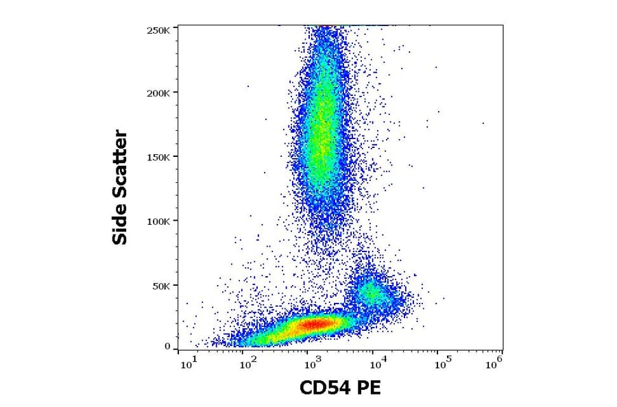 Flow Cytometry - Anti-ICAM1 Antibody [1H4] (PE) (A85677) - Antibodies.com