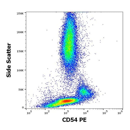 Flow Cytometry - Anti-ICAM1 Antibody [1H4] (PE) (A85677) - Antibodies.com