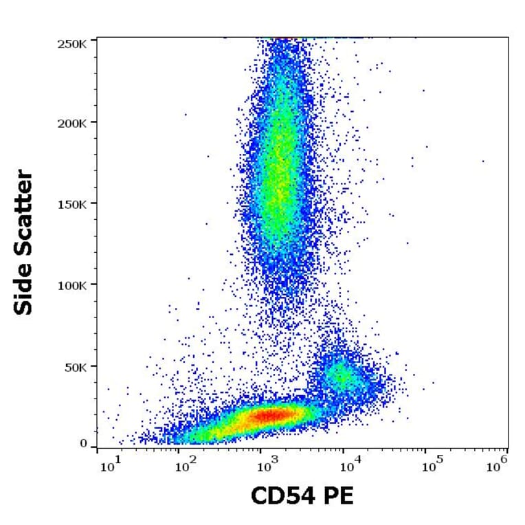 Flow Cytometry - Anti-ICAM1 Antibody [1H4] (PE) (A85677) - Antibodies.com
