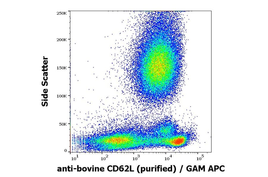 Flow Cytometry - Anti-CD62L Antibody [IVA94] (A85718)