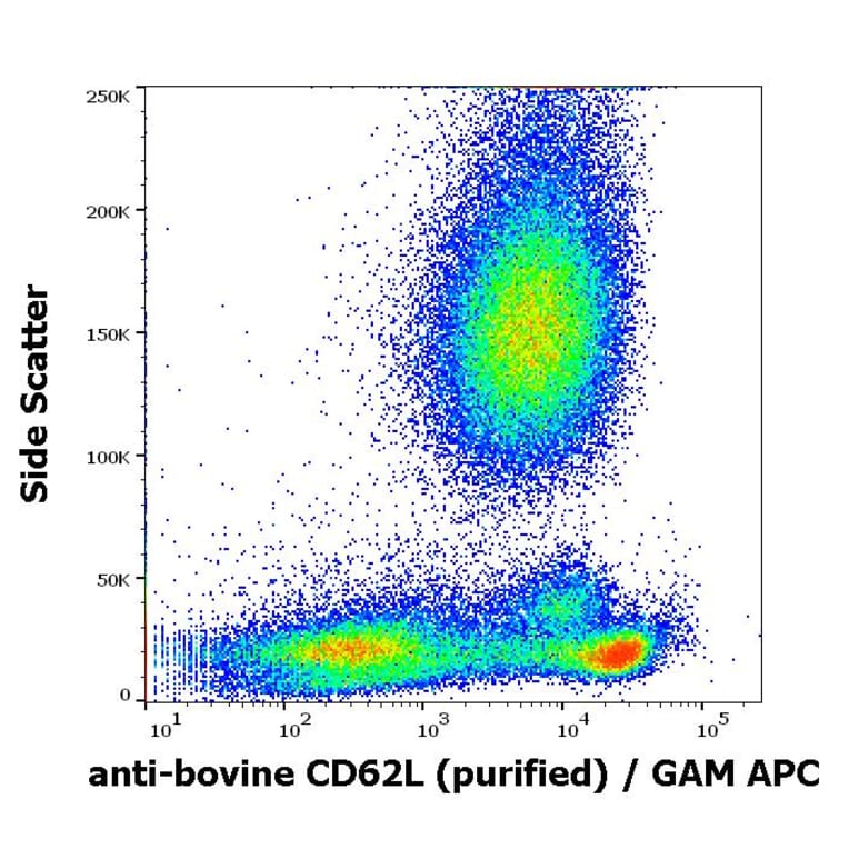 Flow Cytometry - Anti-CD62L Antibody [IVA94] (A85718)