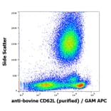Flow Cytometry - Anti-CD62L Antibody [IVA94] (A85718)