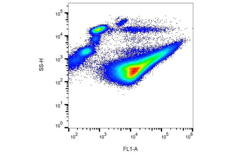 Flow Cytometry - Anti-CD42b Antibody [AK2] (FITC) (A85735) - Antibodies.com