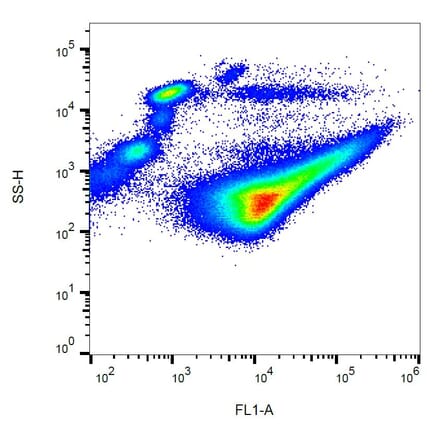 Flow Cytometry - Anti-CD42b Antibody [AK2] (FITC) (A85735) - Antibodies.com