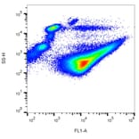 Flow Cytometry - Anti-CD42b Antibody [AK2] (FITC) (A85735) - Antibodies.com