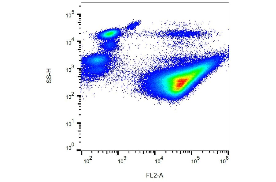 Flow Cytometry - Anti-CD42b Antibody [AK2] (PE) (A85736) - Antibodies.com