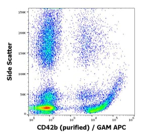 Flow Cytometry - Anti-CD42b Antibody [AK2] (A85740)