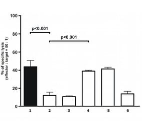 Flow Cytometry - Anti-HLA G Antibody [87G] - Low endotoxin, Azide free (A85743) - Antibodies.com